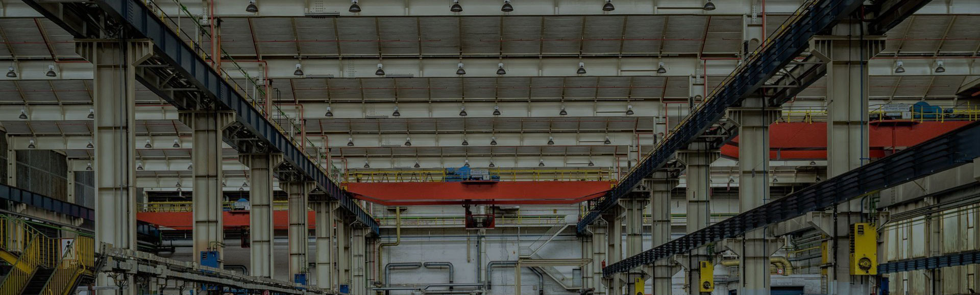 ���Ŷ�̬